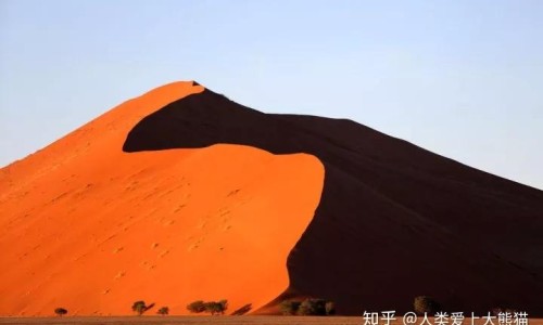 脸上长的痣可以去掉吗-脸上长痣图解代表什么网 - 脸上长痣越来越多什么原因,脸上长痣是什么原因造成的